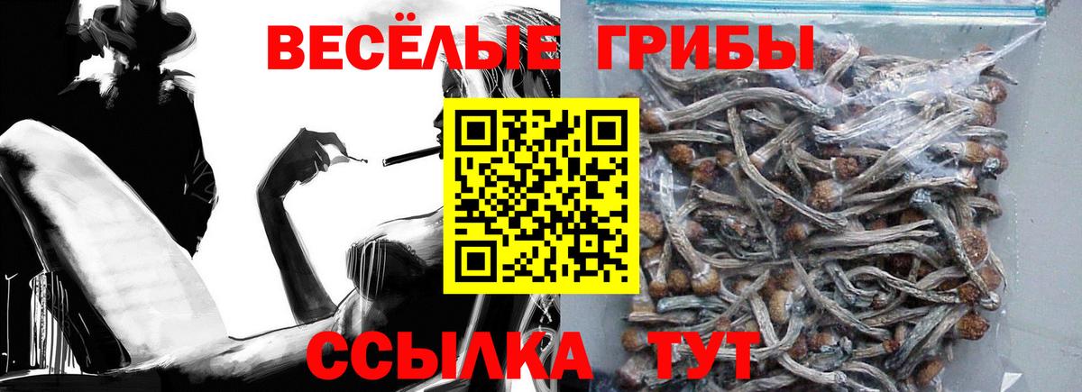 Ишим  Псилоцибиновые грибы MAGIC MUSHROOMS  Псилоцибиновые грибы Cubensis  Вход с VPN 