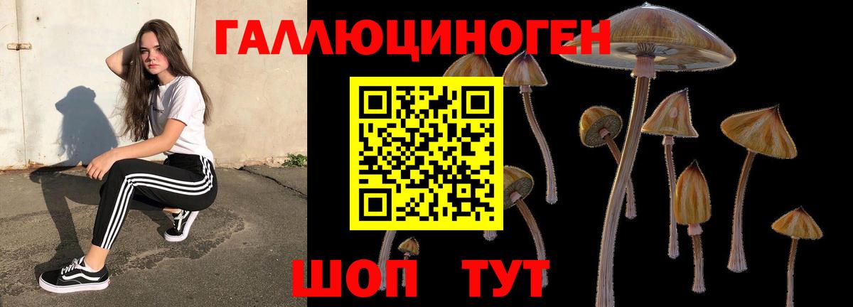 Галлюциногенные грибы ЛСД Ишим